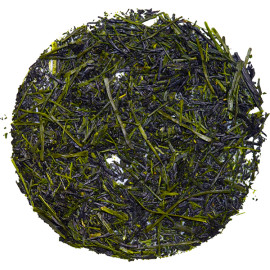 FUKAMUSHI YABUKITA MEDIUM...