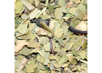 Vitamaté Bio Citron Gingembre | Maté Énergisant Bio | My Sweet Tea