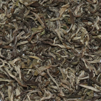 Shangri-La Bio – Thé Blanc du Népal (Ilam) | MY SWEET TEA