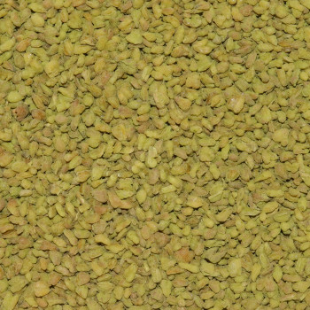 My Sweet Tea - Soba Matcha Bio