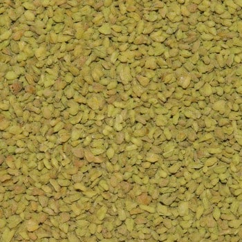 Soba Matcha Bio – Sarrasin grillé & matcha Midori | MY SWEET TEA