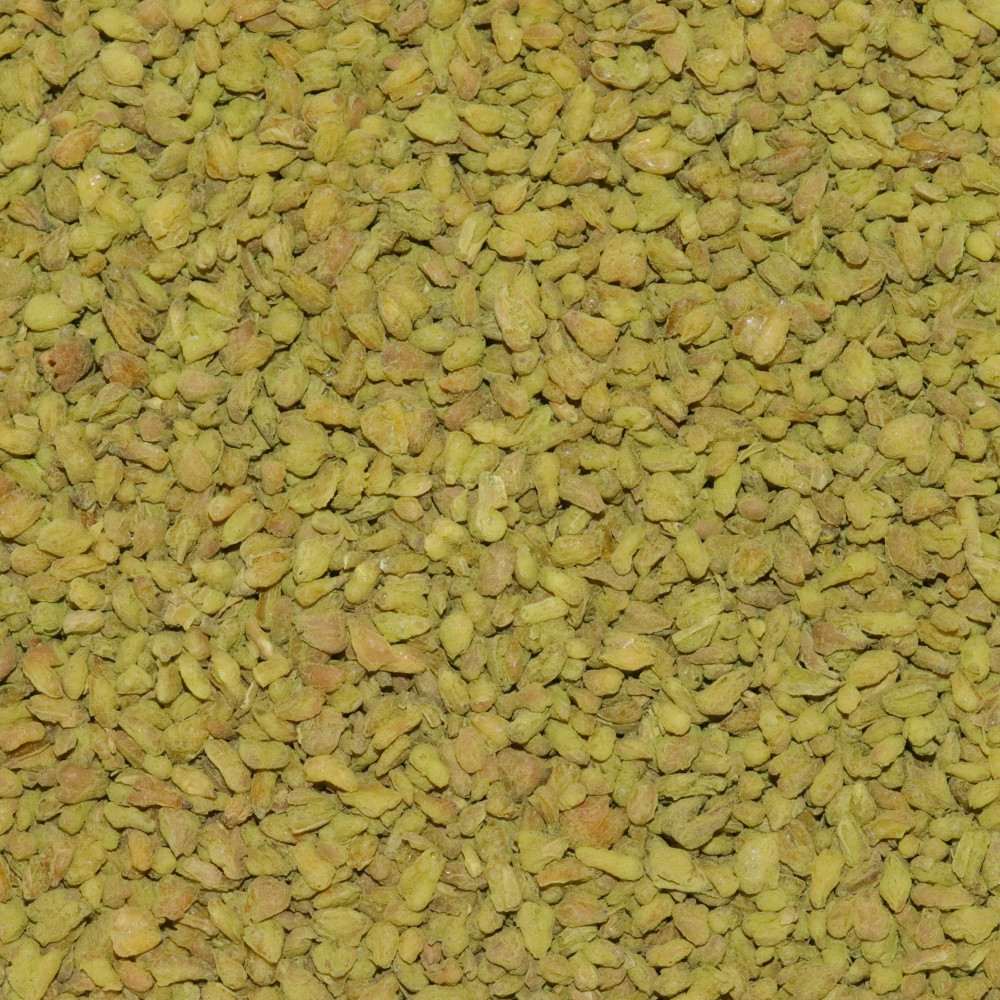 My Sweet Tea - Soba Matcha Bio