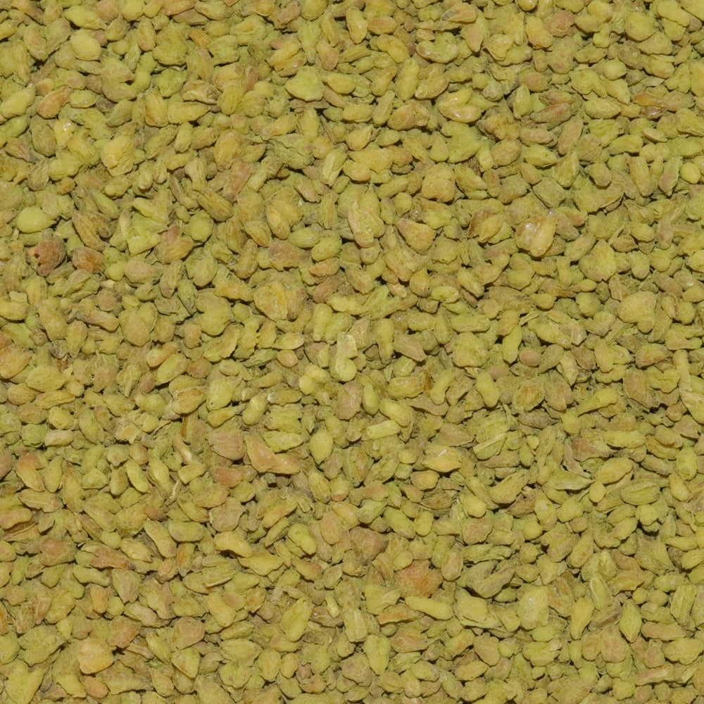 Soba Matcha Bio – Sarrasin grillé & matcha Midori | MY SWEET TEA