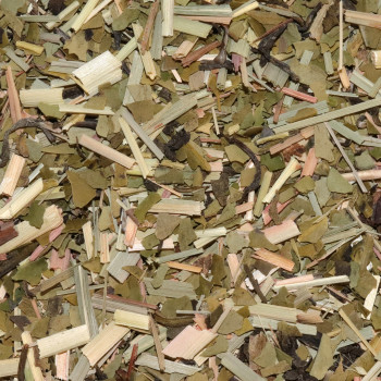 Maté Draineur Bio Citron | Énergie Naturelle | MY SWEET TEA