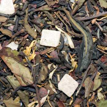 Thé Vert - Praliné Gourmand