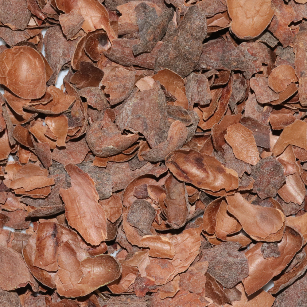 ECORCES DE FEVE DE CACAO BIO