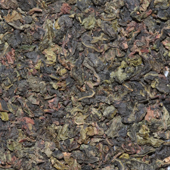 Oolong Tung Ting Bio du Zhejiang, feuilles roulées en perles serrées, en vrac
