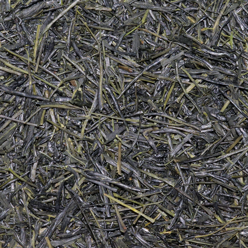 Thé Vert Japonais Sumibicha Okumidori 2025 – Sencha Séché au Charbon de Bois