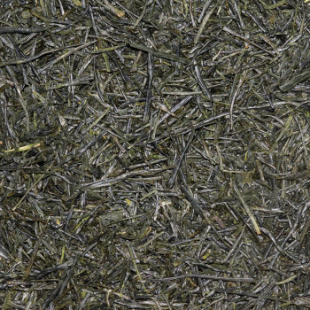 SENCHA SAEMIDORI- RECOLTE 2025 "WADA CHOUJI"