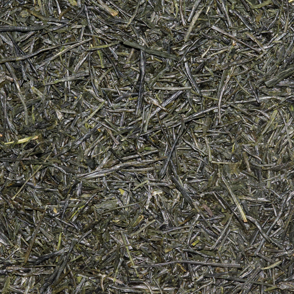 SENCHA SAEMIDORI- RECOLTE 2025 "WADA CHOUJI"