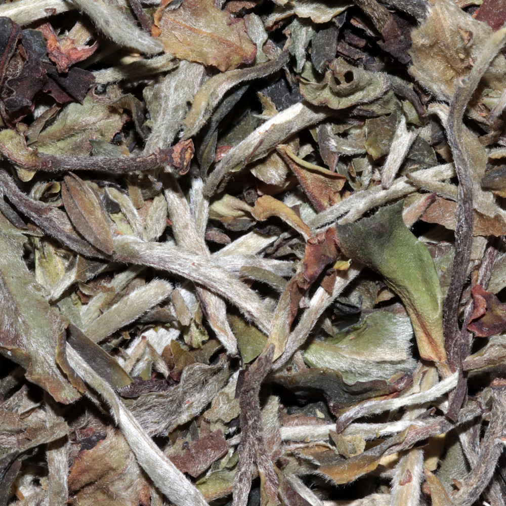 Thé Blanc - Pai Mu Tan Bio