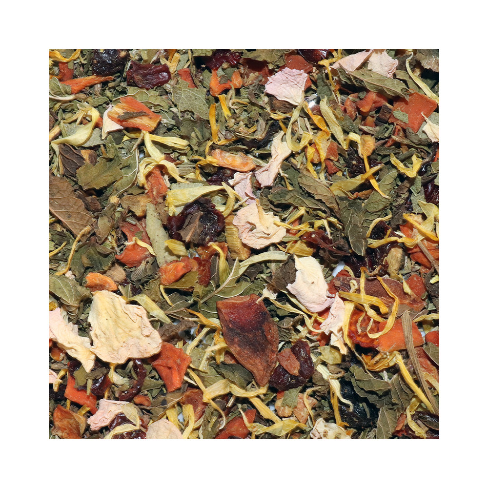 Tisane Bio Menthe & Eucalyptus avec Réglisse - Arctic Mint Bio