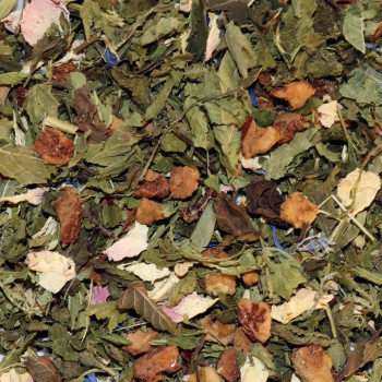 Infusion Citron, Goyave & Verveine - Tigre et Dragon