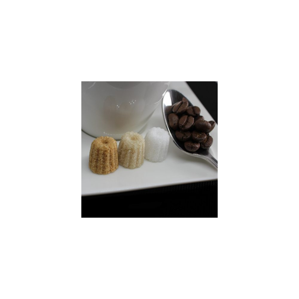 Boite Mini Cannelés Ercus — Sucres Artisanaux Canne | MY SWEET TEA