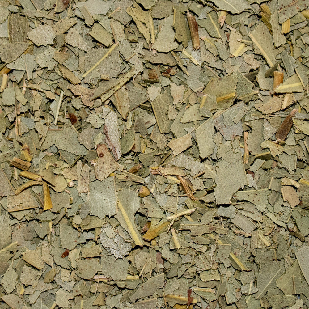 Eucalyptus Bio Portugal – Tisane feuilles coupées sans théine