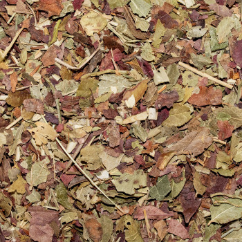 Jambes Légères Bio – Tisane vigne rouge olivier myrtille cassis rooibos