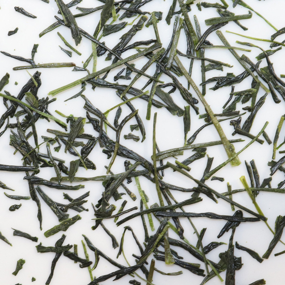 Okumidori Ryougouchi 2026 – Cru de Shizuoka | MY SWEET TEA