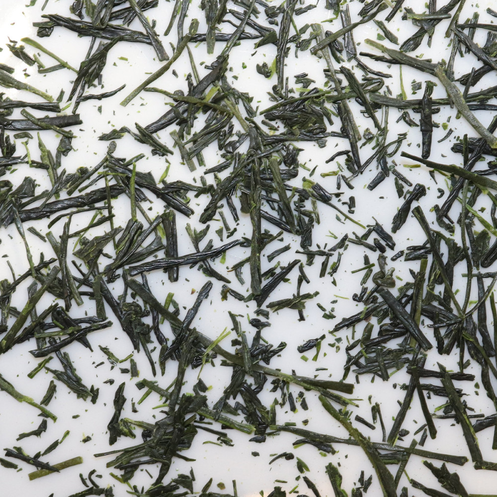 Kabusecha Saeakari 2026 – Thé vert ombré | MY SWEET TEA