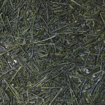 GYOKURO SAEKARI HIHUKU WADA TEA BY MY SWEET TEA