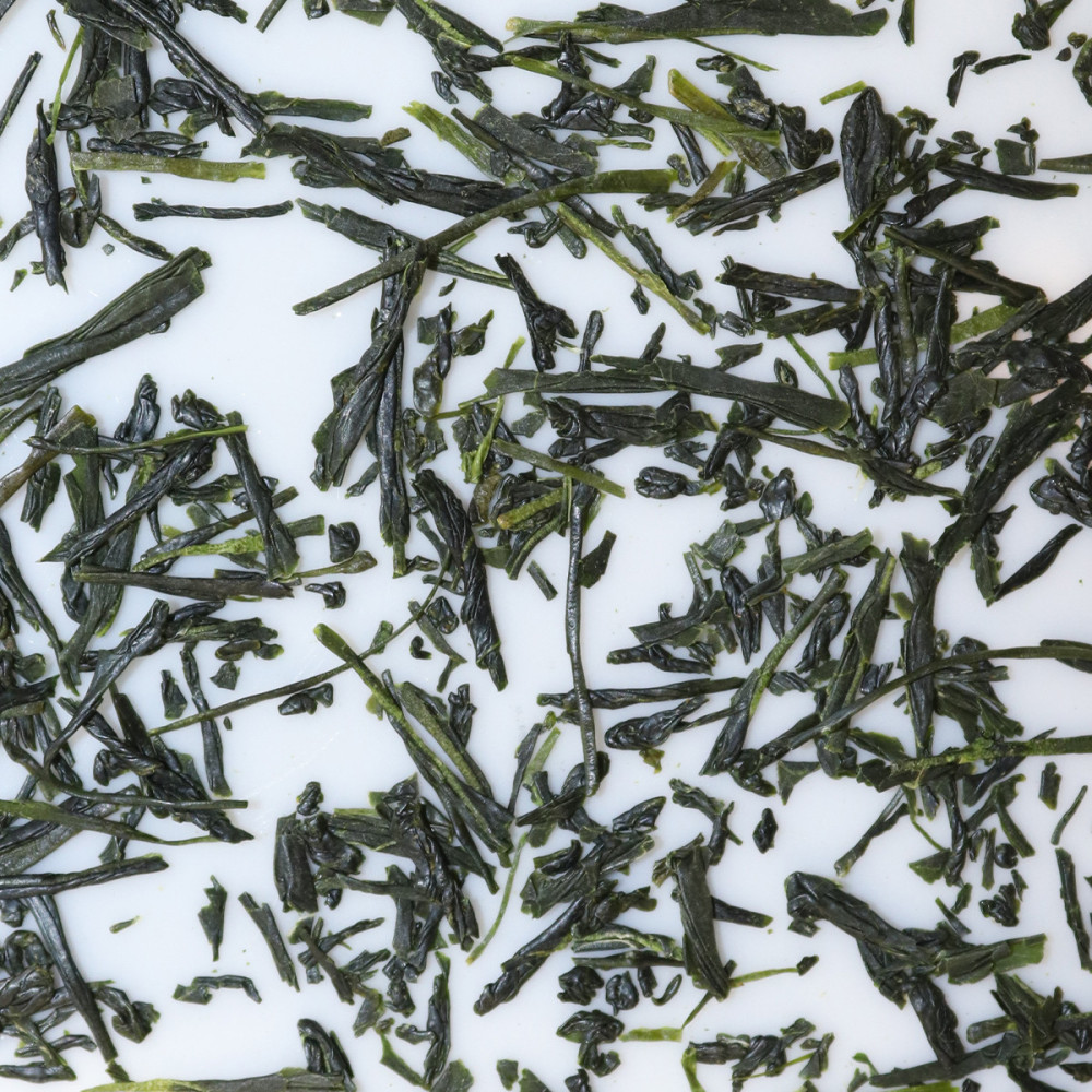 Sencha Koushun 2026 – Shizuoka parfumé | MY SWEET TEA