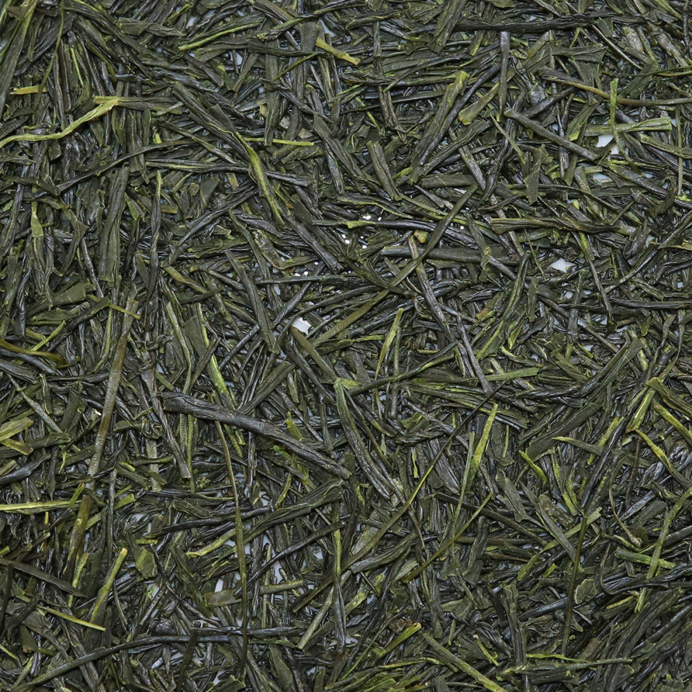 sencha koushun - shizuoka - wada tea
