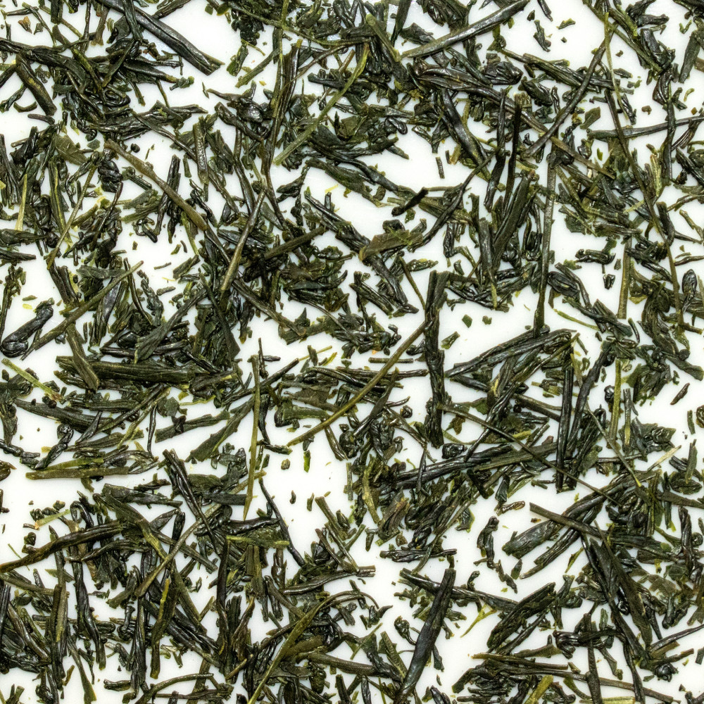 Yabukita Tsuyobi 2026 – Sencha à feu fort | MY SWEET TEA