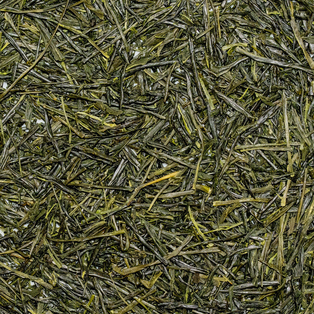 Yabukita Tsuyobi 2026 – Sencha à feu fort | MY SWEET TEA