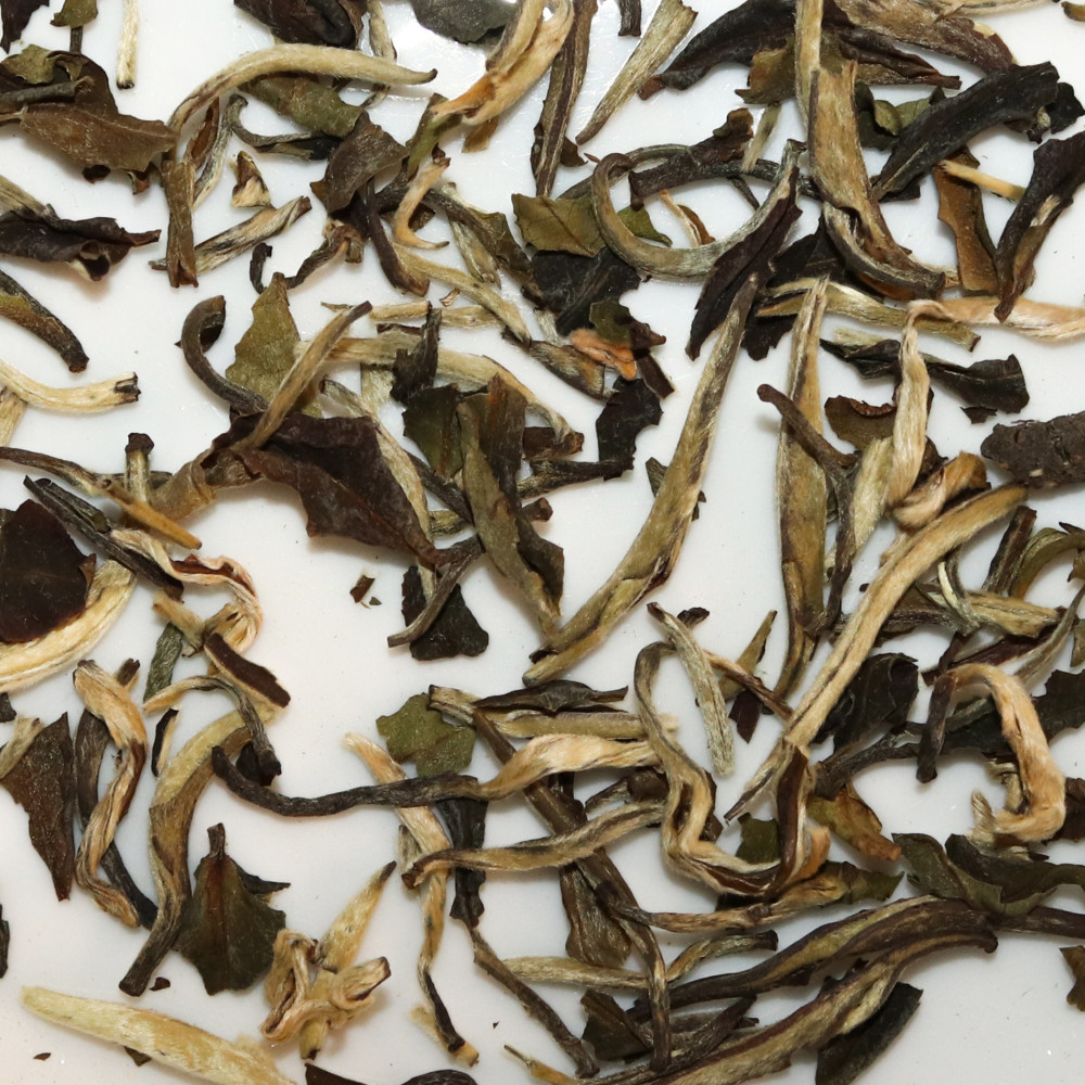 Jasmin White Moonlight, thé blanc Yunnan | MY SWEET TEA
