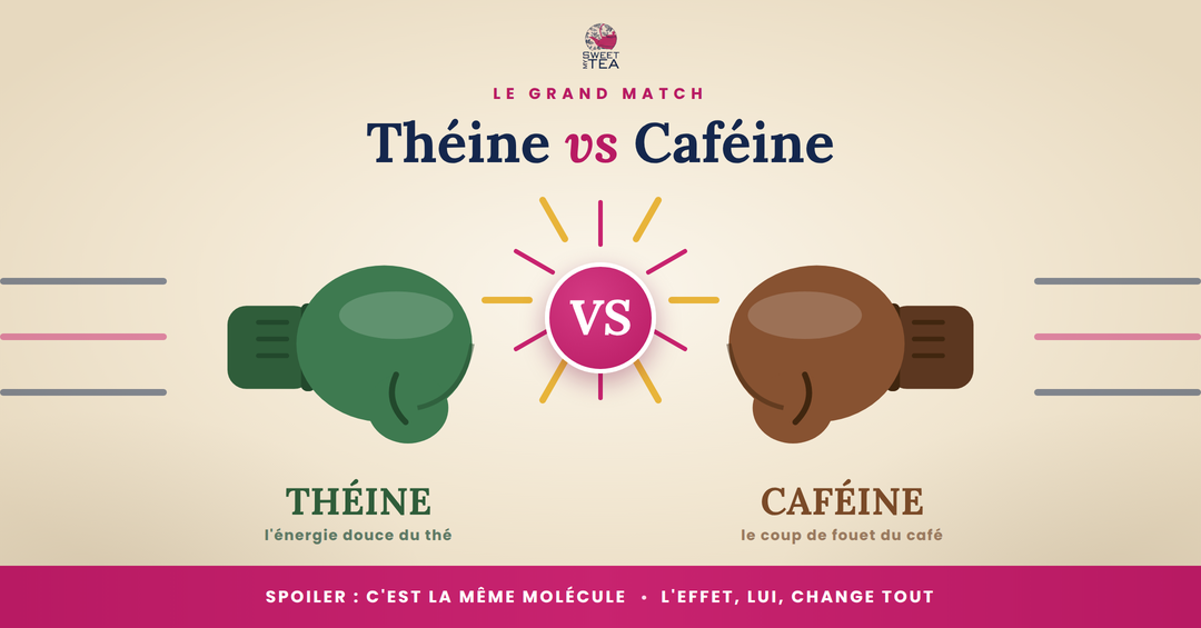   MY SWEET TEA — ARTICLE « THÉINE OU CAFÉINE : QUELLE DIFFÉRENCE ? 