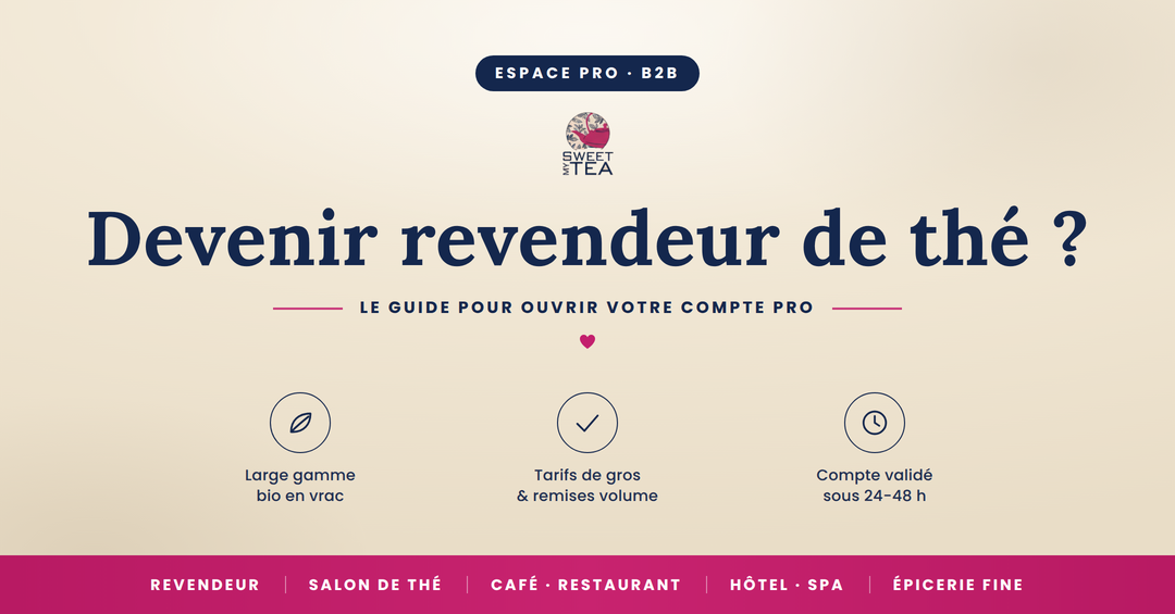 blog pro / B2B