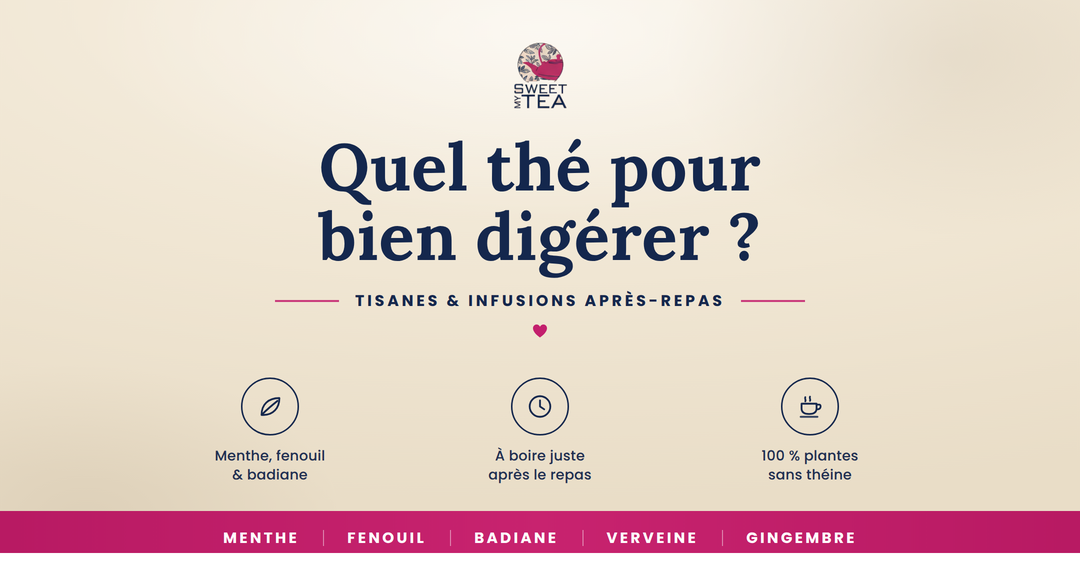 Quel the boire pour bien digerer ? Les meilleures tisanes apres-repas et anti-ballonnements
